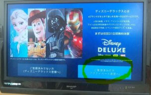 11ディズニーデラックス_TVで見る方法11.ディズニーデラックス登録済みの方を選択
