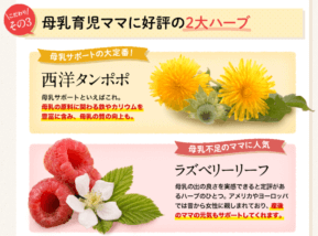 授乳サプリメントはどのように機能しますか?