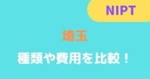 NIPT「埼玉」トップ画面