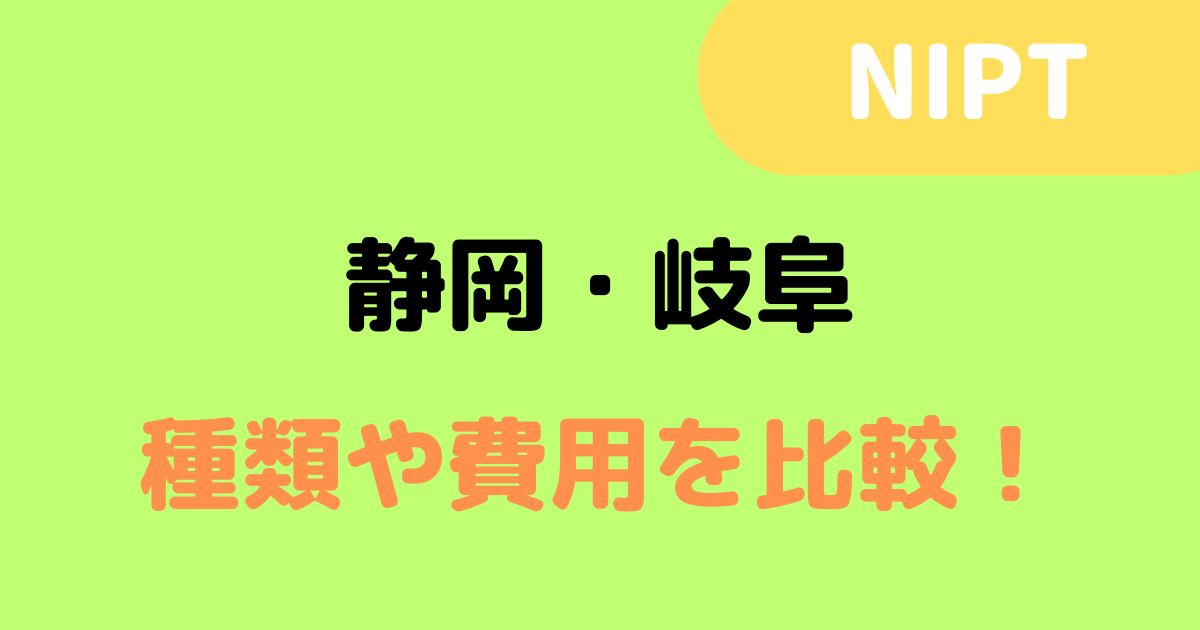 NIPT「静岡・岐阜」トップ画面