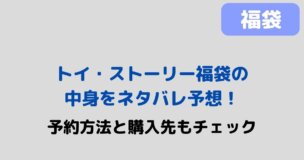 「トイストーリー福袋」記事タイトル